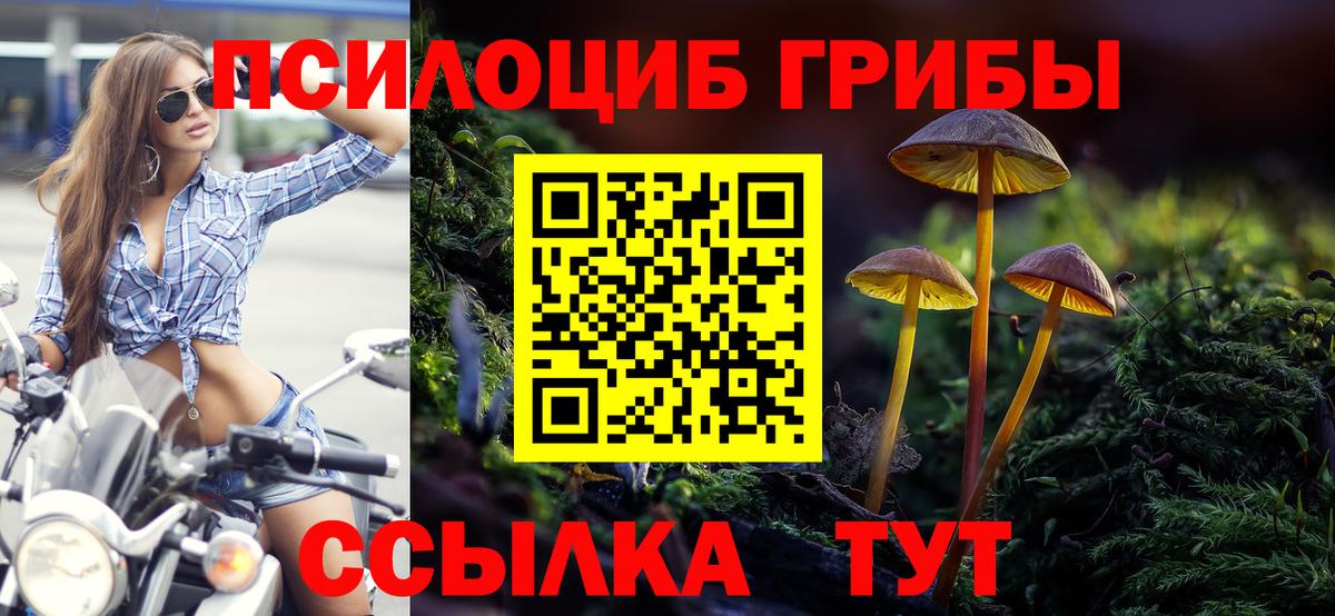 Переславль-Залесский  Псилоцибиновые грибы мухоморы  Вход с VPN  Псилоцибиновые грибы GOLDEN TEACHER 